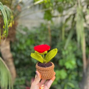 Crochet Rose Pot